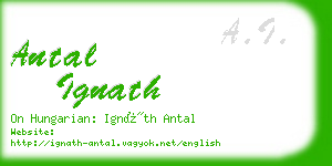 antal ignath business card